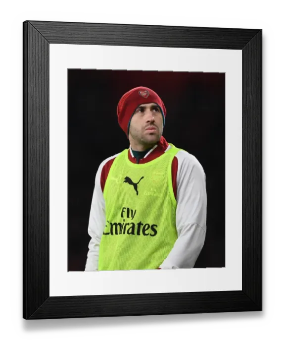 Framed Print : Arsenal vs Everton: David Ospina in Action at the Emirates Stadium, Premier League 2017-18