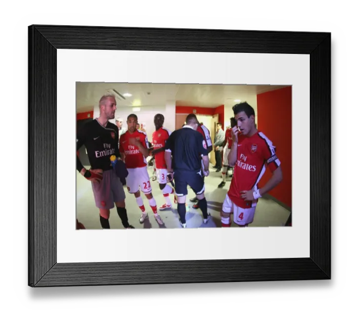 Framed Print : Arsenal's Unstoppable Duo: Manuel Almunia and Cesc Fabregas Shine in 2-0 Victory over Manchester City