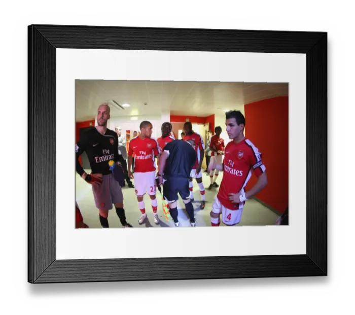 Framed Print : Arsenal's Unbeatable Duo: Manuel Almunia and Cesc Fabregas Lead 2-0 Victory Over Manchester City, Barclays Premier League, Emirates Stadium, 2009 Framed Print : Arsenal's Unbeatable Duo: Manuel Almunia and Cesc Fabregas Lead 2-0 Victory Over Manchester City, Barclays Premier League, Emirates Stadium, 2009