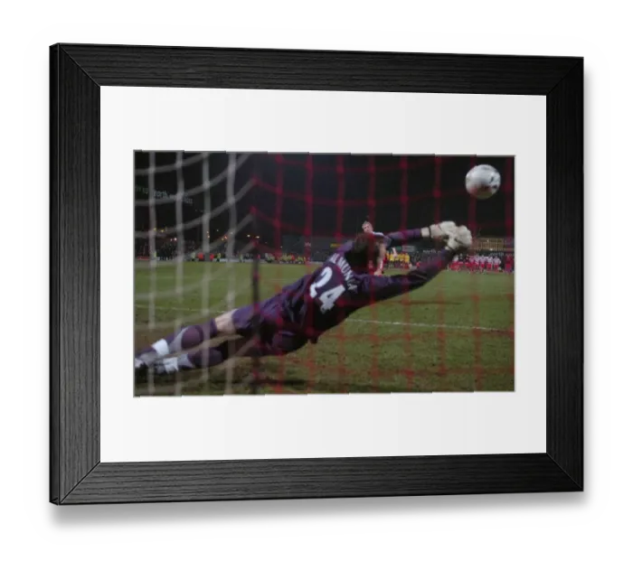 Framed Print : Manuel Almunia's Heroic Penalty Save: Arsenal's Carling Cup Victory over Doncaster Rovers Framed Print : Manuel Almunia's Heroic Penalty Save: Arsenal's Carling Cup Victory over Doncaster Rovers