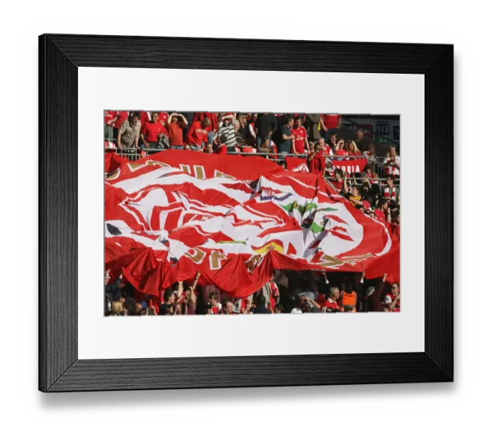 Framed Print : Arsenal Fans in Disbelief: FA Cup Semi-Final Defeat to Chelsea, Wembley Stadium, 2009 Framed Print : Arsenal Fans in Disbelief: FA Cup Semi-Final Defeat to Chelsea, Wembley Stadium, 2009