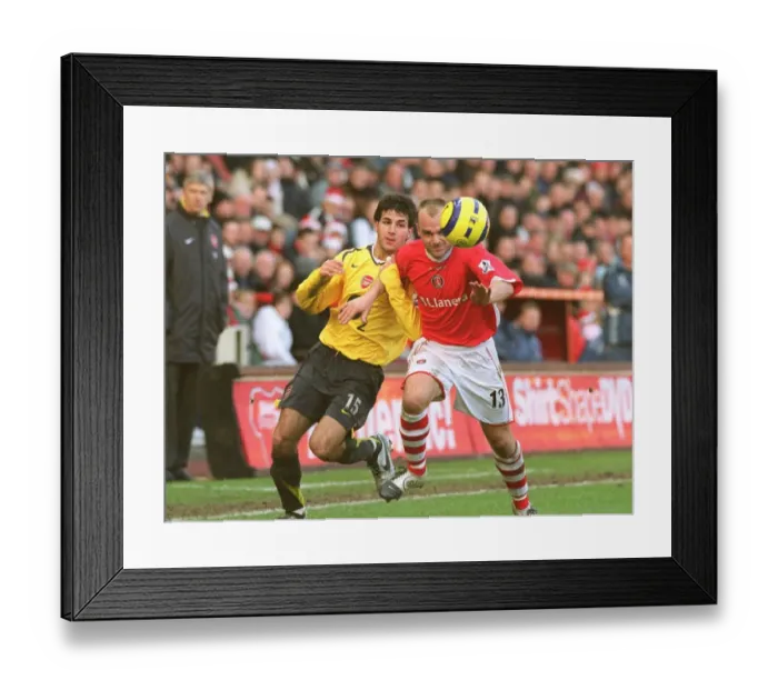 Framed Print : Cesc Fabregas Scores the Winner: Arsenal's Triumph over Charlton Athletic, FA Premiership 2005