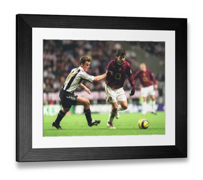 Framed Print : Cesc Fabregas (Arsenal) Scott Parker (Newcastle United)