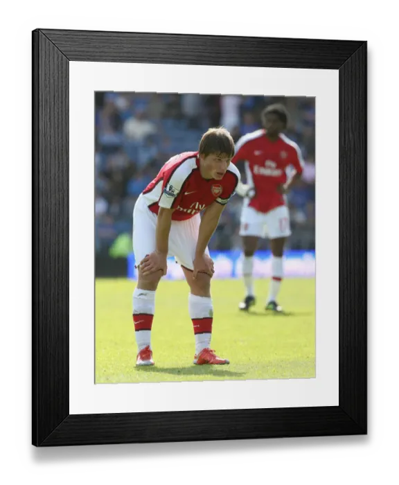 Framed Print : Arshavin's Brilliance: 4-0 Arsenal Thrash Portsmouth Framed Print : Arshavin's Brilliance: 4-0 Arsenal Thrash Portsmouth