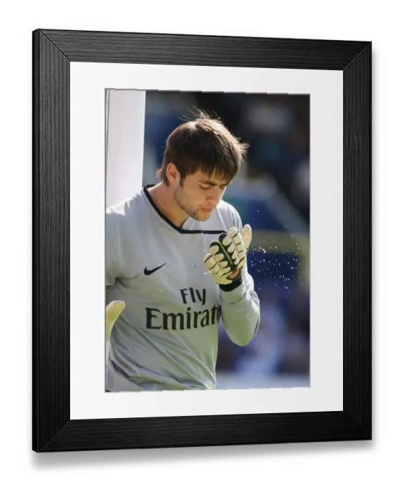 Framed Print : Fabianski's Dominance: Arsenal's 4-0 Win Over Portsmouth, 2009 Framed Print : Fabianski's Dominance: Arsenal's 4-0 Win Over Portsmouth, 2009