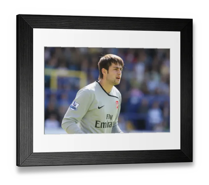 Framed Print : Fabianski's Dominance: Arsenal Crushes Portsmouth 4-0 Framed Print : Fabianski's Dominance: Arsenal Crushes Portsmouth 4-0