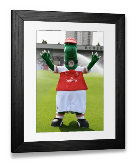 Framed Print : Gunnersaurus: Arsenal's Iconic Mascot at Borehamwood Pre-Season Friendly