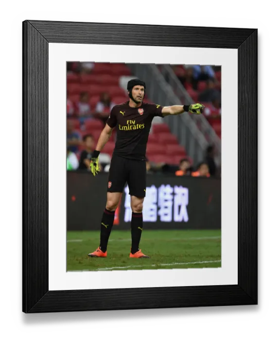 Framed Print : Petr Cech: Arsenal's Unwavering Guardian Against Atletico Madrid in 2018 Framed Print : Petr Cech: Arsenal's Unwavering Guardian Against Atletico Madrid in 2018