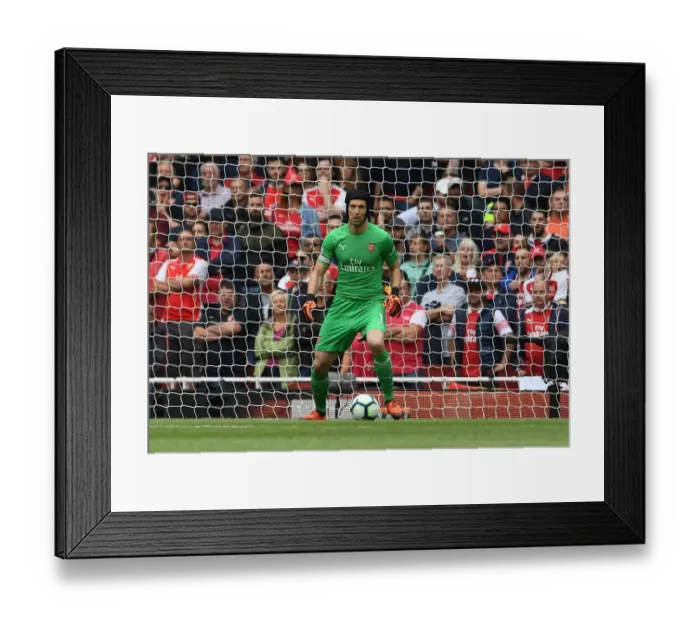 Framed Print : Petr Cech (Arsenal). Arsenal 0: 2 Manchester City. Premier League. Emirates Stadium Framed Print : Petr Cech (Arsenal). Arsenal 0: 2 Manchester City. Premier League. Emirates Stadium
