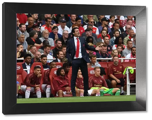 Unai Emery Leads Arsenal Against Manchester City in Premier League Showdown (2018-19)