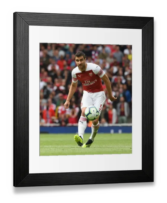 Framed Print : Sokratis in Action: Arsenal vs Manchester City, Premier League 2018-19 Framed Print : Sokratis in Action: Arsenal vs Manchester City, Premier League 2018-19