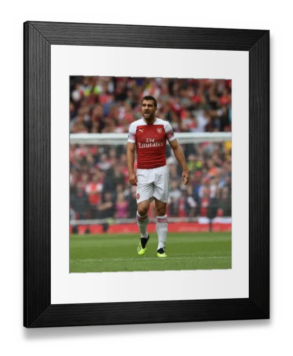 Framed Print : Sokratis in Action: Arsenal vs Manchester City, Premier League 2018-19 Framed Print : Sokratis in Action: Arsenal vs Manchester City, Premier League 2018-19