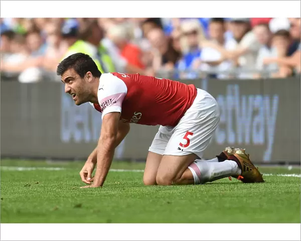 Sokratis in Action: Cardiff City vs Arsenal, Premier League 2018-19