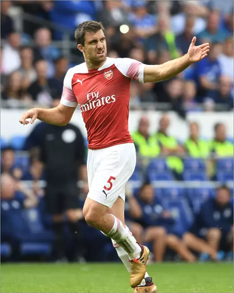 Sokratis in Action: Cardiff City vs. Arsenal, Premier League 2018-19
