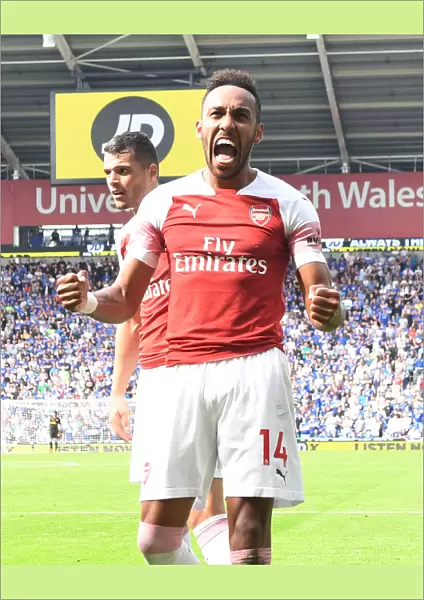 Pierre-Emerick Aubameyang Scores Second Goal: Cardiff City vs. Arsenal (2018-19)