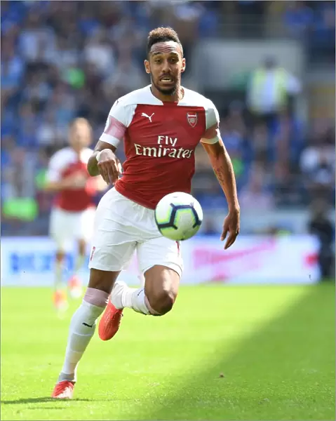 Pierre-Emerick Aubameyang in Action: Cardiff City vs. Arsenal, Premier League 2018-19