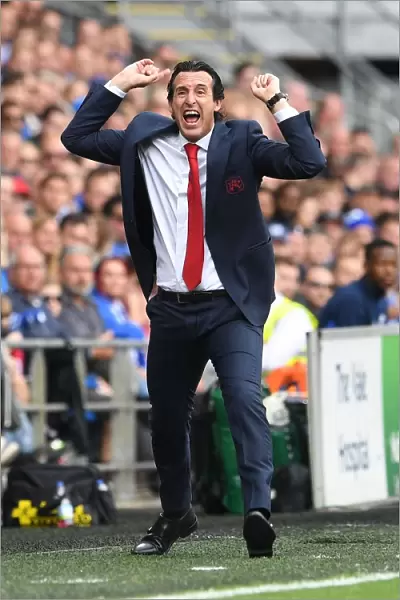 Unai Emery Leads Arsenal in Premier League Clash against Cardiff City (2018-19)
