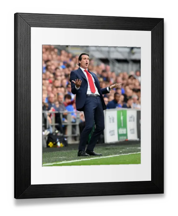 Framed Print : Unai Emery Leads Arsenal Against Cardiff City in Premier League Clash Framed Print : Unai Emery Leads Arsenal Against Cardiff City in Premier League Clash