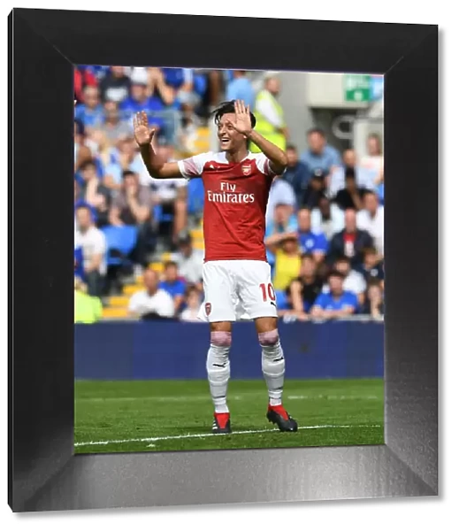 Mesut Ozil Celebrates Arsenal's Second Goal vs Cardiff City (2018-19)