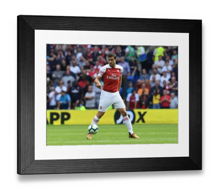 Framed Print : Sokratis in Action: Cardiff City vs Arsenal FC, Premier League 2018-19 Framed Print : Sokratis in Action: Cardiff City vs Arsenal FC, Premier League 2018-19