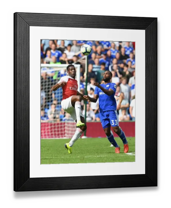 Framed Print : Clash at Cardiff: Welbeck vs Hoilett in Premier League Showdown Framed Print : Clash at Cardiff: Welbeck vs Hoilett in Premier League Showdown