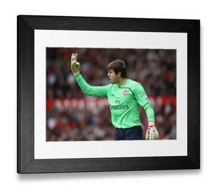 Framed Print : Lucazs Fabianski (Arsenal) Framed Print : Lucazs Fabianski (Arsenal)