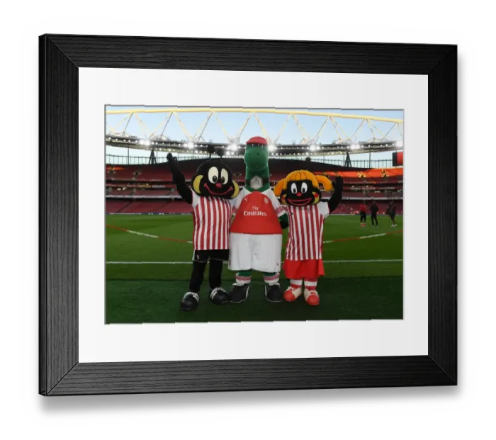 Framed Print : Gunner with the Brentford mascots. Arsenal 3: 1 Brentford. Carabao Cup. 3rd Round