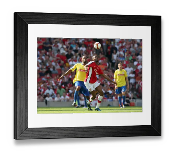 Framed Print : Abou Diaby (Arsenal) Salif Diao (Stoke) Framed Print : Abou Diaby (Arsenal) Salif Diao (Stoke)