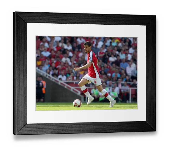 Framed Print : Cesc Fabregas in Action: Arsenal's 4-1 Victory over Stoke City, Barclays Premier League, Emirates Stadium, May 24, 2009 Framed Print : Cesc Fabregas in Action: Arsenal's 4-1 Victory over Stoke City, Barclays Premier League, Emirates Stadium, May 24, 2009