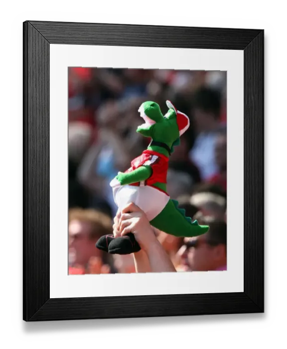 Framed Print : A fan holds up a mini Gunner