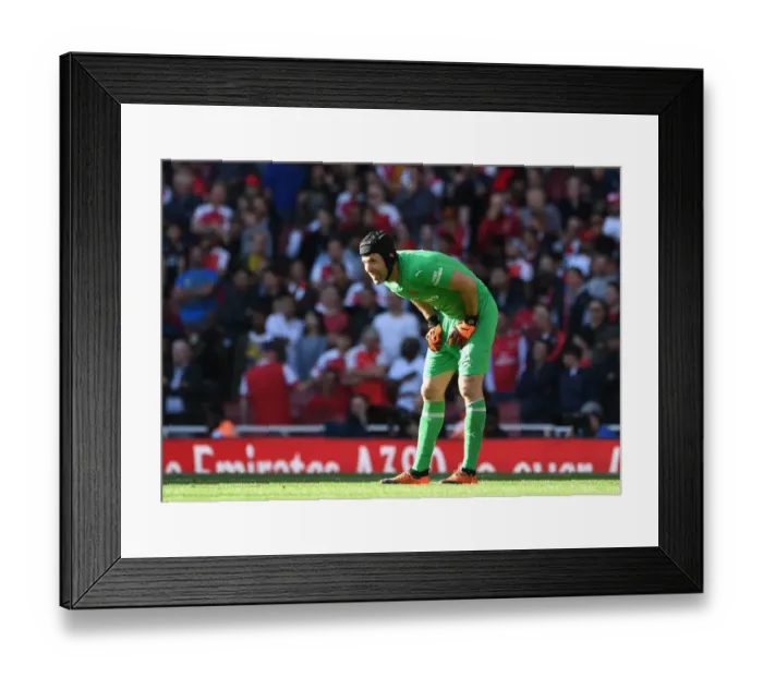 Framed Print : Petr Cech in Action: Arsenal vs. Watford (2018-19) Framed Print : Petr Cech in Action: Arsenal vs. Watford (2018-19)