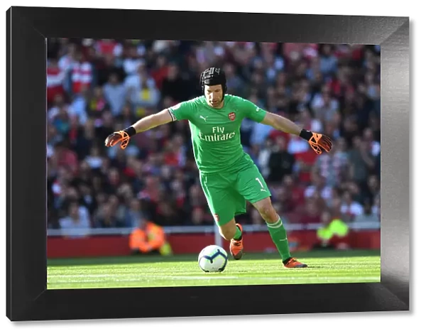 Arsenal's Petr Cech in Action: Arsenal vs. Watford (2018-19)