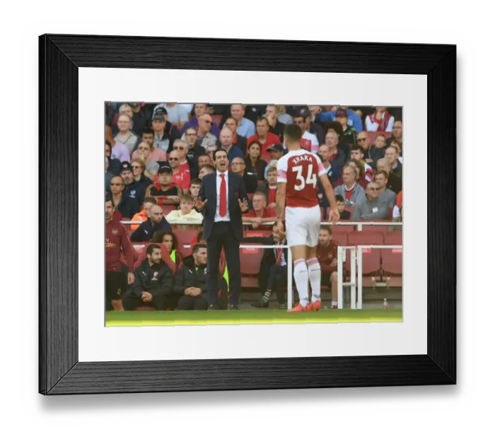Framed Print : Unai Emery Goes Head-to-Head with Watford in Arsenal's 2018-19 Premier League Battle Framed Print : Unai Emery Goes Head-to-Head with Watford in Arsenal's 2018-19 Premier League Battle