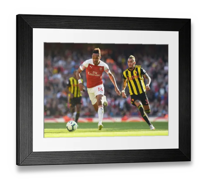 Framed Print : Arsenal's Aubameyang Faces Off Against Watford's Pereyra in Premier League Clash Framed Print : Arsenal's Aubameyang Faces Off Against Watford's Pereyra in Premier League Clash
