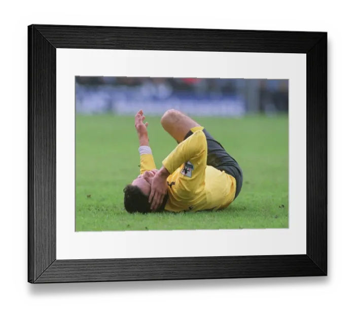 Framed Print : Robin van Persie (Arsenal). Aston Villa 0: 0 Arsenal. FA Premiership Framed Print : Robin van Persie (Arsenal). Aston Villa 0: 0 Arsenal. FA Premiership