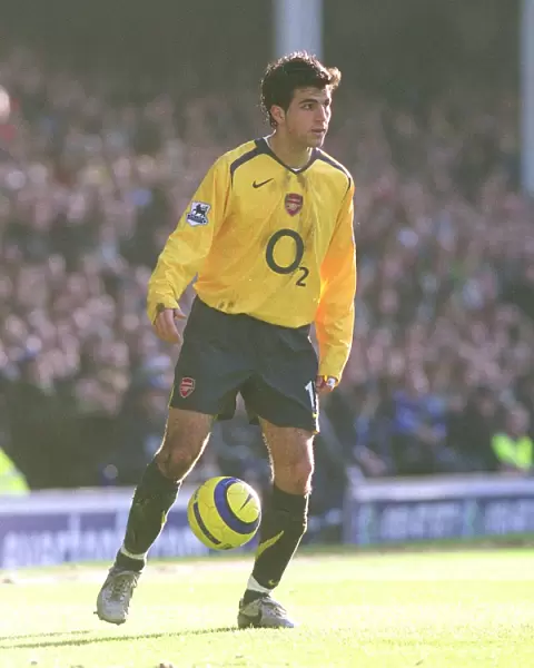 Cesc Fabregas: Leading Arsenal to Victory Over Everton at Goodison Park, FA Premiership 2006