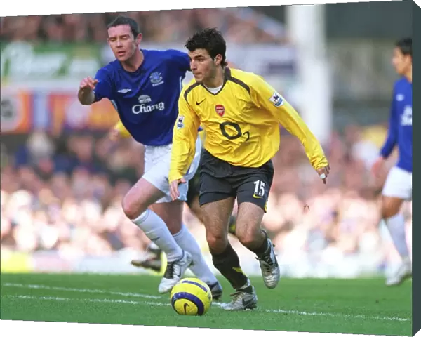 Cesc Fabregas (Arsenal) David Weir (Everton)