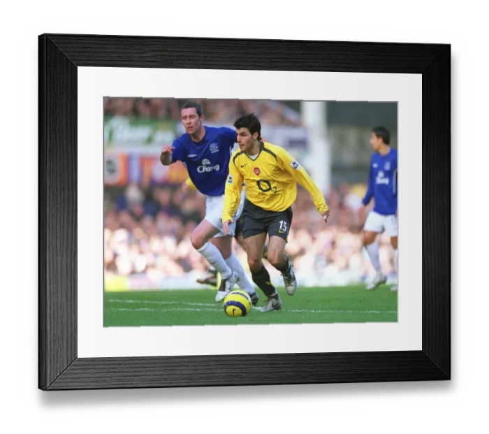 Framed Print : Cesc Fabregas (Arsenal) David Weir (Everton) Framed Print : Cesc Fabregas (Arsenal) David Weir (Everton)