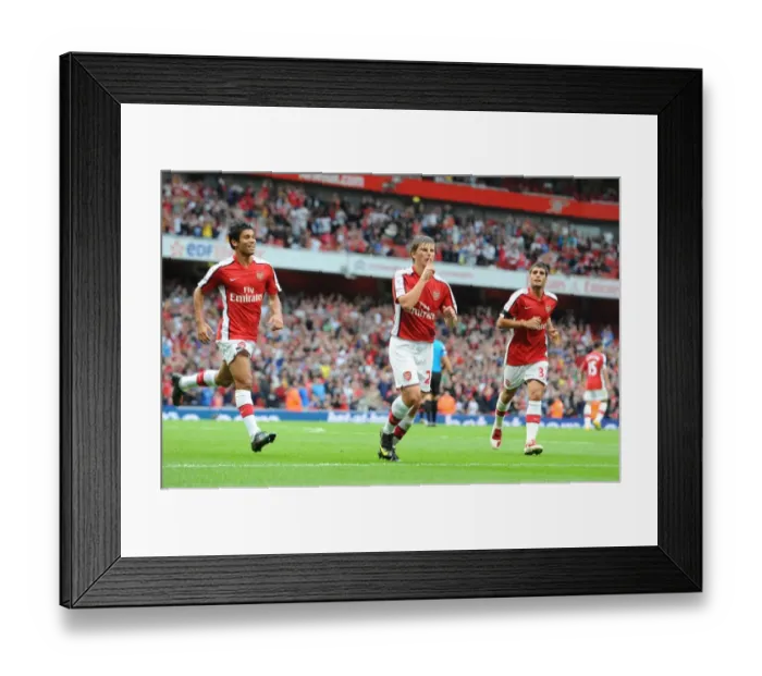 Framed Print : Andrey Arsahvin celebrates scoring the 1st Arsenal