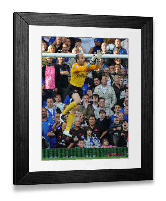Framed Print : Manuel Almunia's Unforgettable Night: Arsenal's 6-1 Thrashing of Everton in the Premier League, August 2009 Framed Print : Manuel Almunia's Unforgettable Night: Arsenal's 6-1 Thrashing of Everton in the Premier League, August 2009
