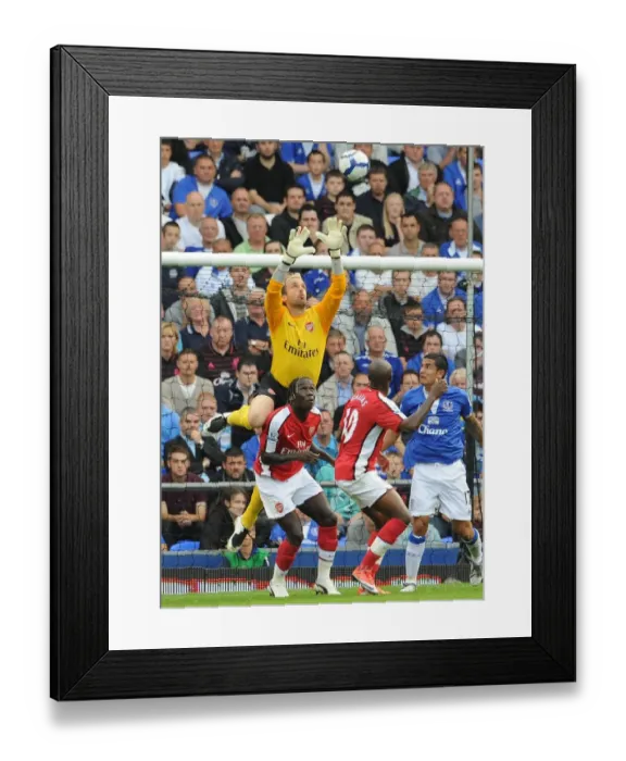 Framed Print : Manuel Almunia and Bacary Sagna (Arsenal) Framed Print : Manuel Almunia and Bacary Sagna (Arsenal)