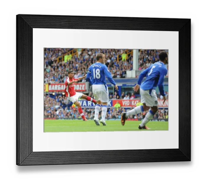 Framed Print : Denilson shoots past Everton goalkeeper Tim Howard Framed Print : Denilson shoots past Everton goalkeeper Tim Howard