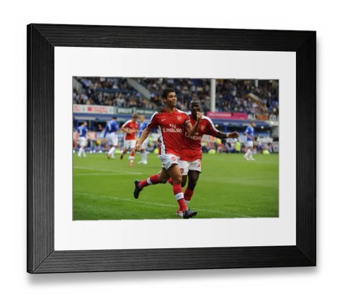 Framed Print : Eduardo's Brace: Arsenal's Thrilling 6-1 Victory Over Everton (August 2009) Framed Print : Eduardo's Brace: Arsenal's Thrilling 6-1 Victory Over Everton (August 2009)