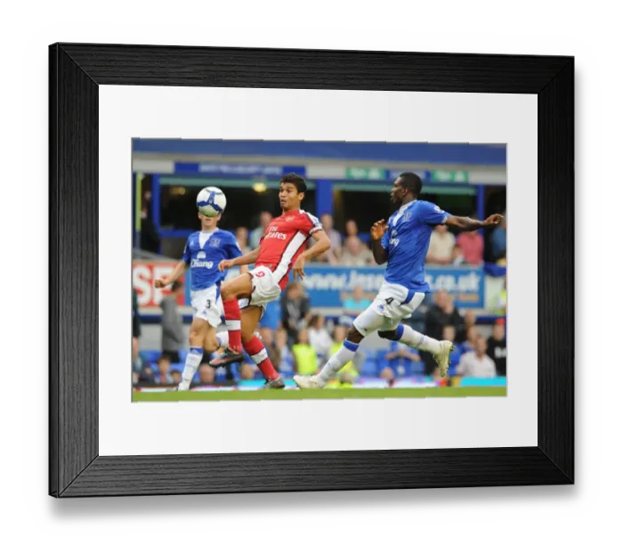 Framed Print : Eduardo (Arsenal) Joseph Yobo (Everton) Framed Print : Eduardo (Arsenal) Joseph Yobo (Everton)