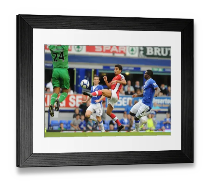 Framed Print : Eduardo (Arsenal) Joseph Yobo and Tim Howard (Everton) Framed Print : Eduardo (Arsenal) Joseph Yobo and Tim Howard (Everton)