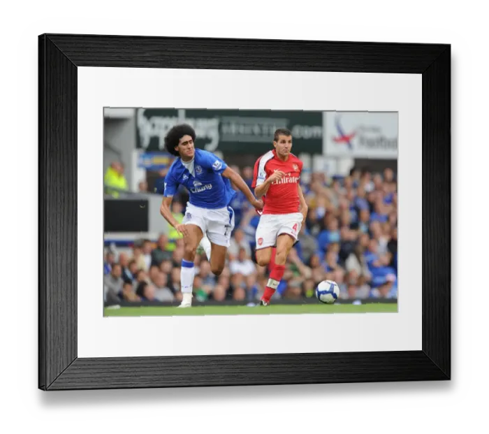 Framed Print : Cesc Fabregas (Arsenal) Marouane Fellaini (Everton)