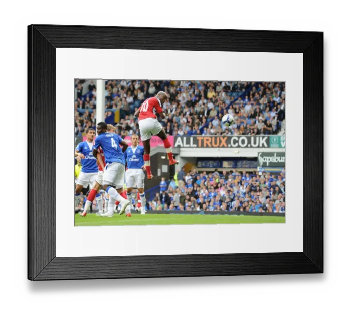 Framed Print : Gallas Scores Stunner: Arsenal Crush Everton 6-1 Framed Print : Gallas Scores Stunner: Arsenal Crush Everton 6-1