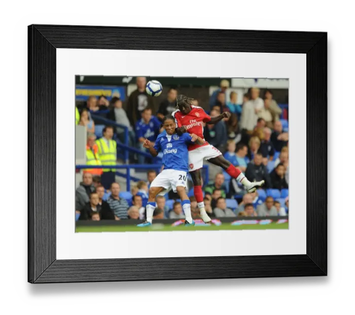 Framed Print : Sagna's Dominance: Arsenal's 6-1 Victory over Everton with Bacary Sagna and Steven Pienaar Framed Print : Sagna's Dominance: Arsenal's 6-1 Victory over Everton with Bacary Sagna and Steven Pienaar