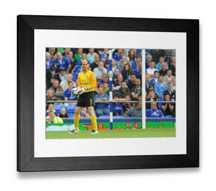 Framed Print : Manuel Almunia's Unforgettable Night: Arsenal's Historic 6-1 Victory Over Everton (August 2009) Framed Print : Manuel Almunia's Unforgettable Night: Arsenal's Historic 6-1 Victory Over Everton (August 2009)