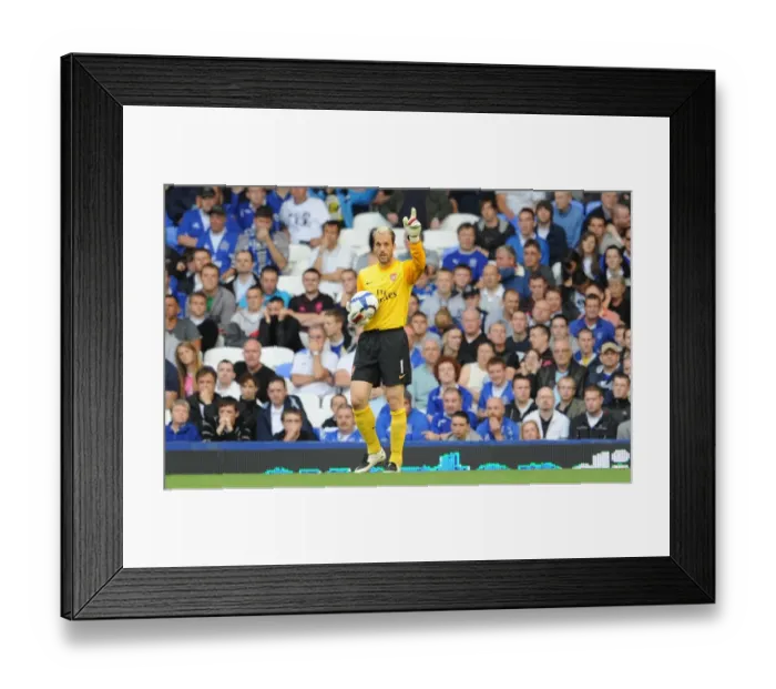 Framed Print : Manuel Almunia's Unforgettable Night: Arsenal's Historic 6-1 Victory Over Everton